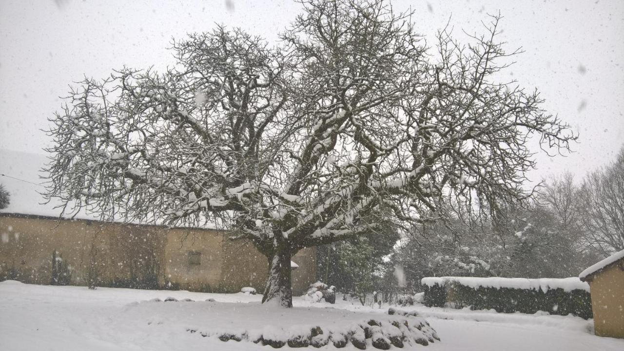 Gîte des Etangs de Beaulieu Le Plessis-Dorin Extérieur photo