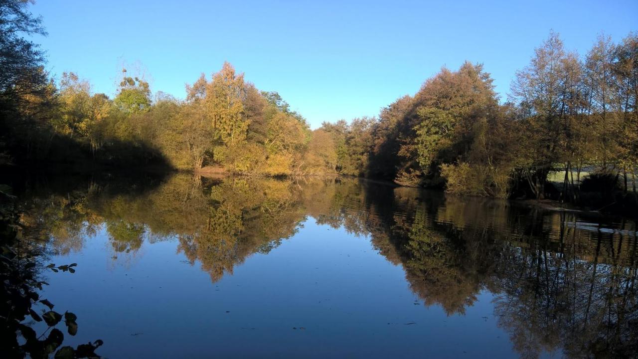 Gîte des Etangs de Beaulieu Le Plessis-Dorin Extérieur photo